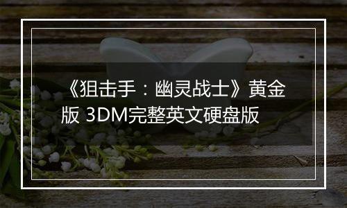 《狙击手：幽灵战士》黄金版 3DM完整英文硬盘版