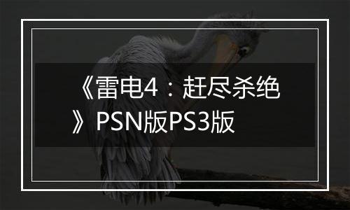 《雷电4：赶尽杀绝》PSN版PS3版