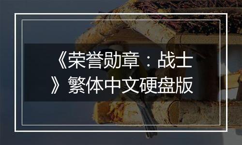 《荣誉勋章：战士》繁体中文硬盘版