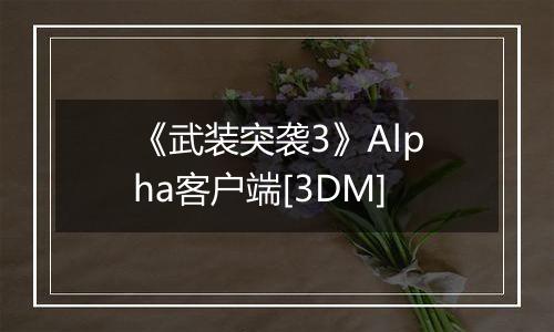 《武装突袭3》Alpha客户端[3DM]