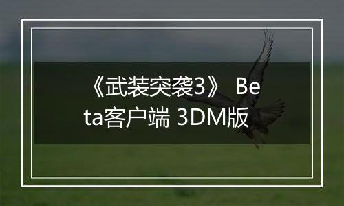 《武装突袭3》 Beta客户端 3DM版