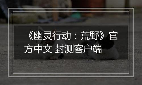 《幽灵行动：荒野》官方中文 封测客户端