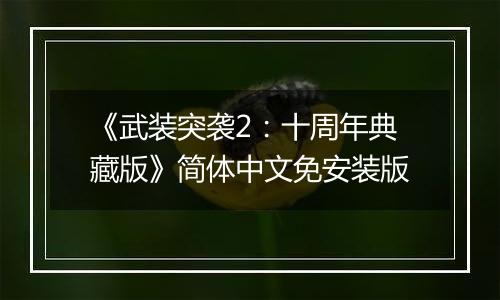 《武装突袭2：十周年典藏版》简体中文免安装版