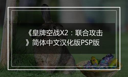 《皇牌空战X2：联合攻击》简体中文汉化版PSP版
