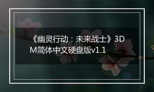 《幽灵行动：未来战士》3DM简体中文硬盘版v1.1