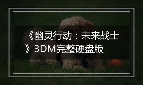 《幽灵行动：未来战士》3DM完整硬盘版