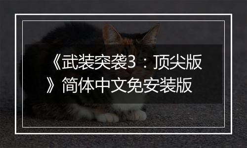《武装突袭3：顶尖版》简体中文免安装版
