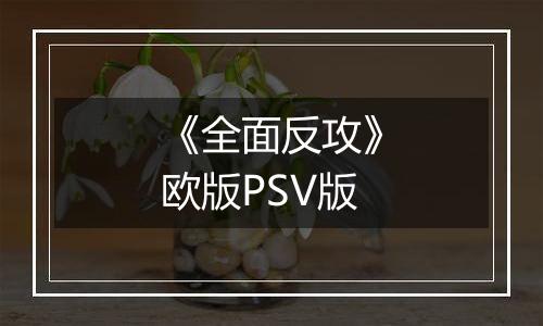 《全面反攻》欧版PSV版