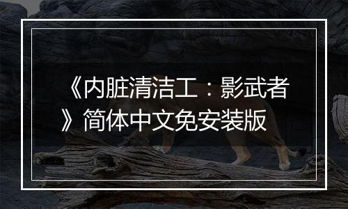 《内脏清洁工：影武者》简体中文免安装版