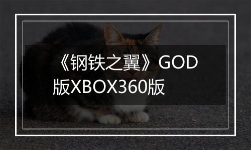 《钢铁之翼》GOD版XBOX360版