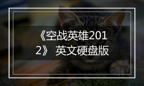 《空战英雄2012》 英文硬盘版