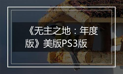 《无主之地：年度版》美版PS3版