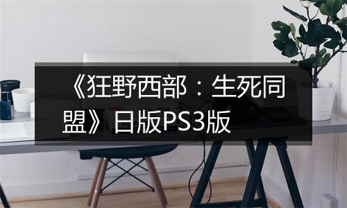 《狂野西部：生死同盟》日版PS3版