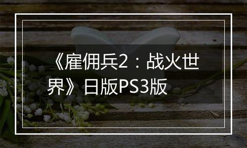 《雇佣兵2：战火世界》日版PS3版