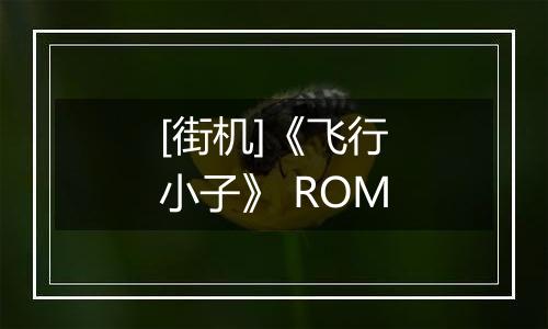 [街机]《飞行小子》 ROM