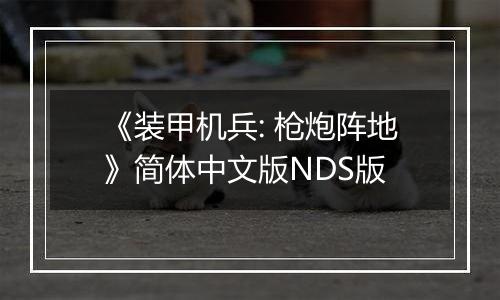 《装甲机兵: 枪炮阵地》简体中文版NDS版
