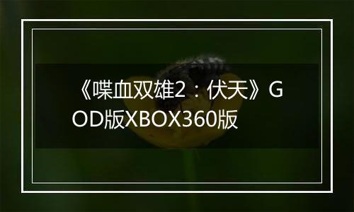 《喋血双雄2：伏天》GOD版XBOX360版