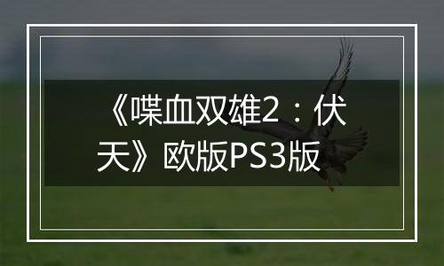 《喋血双雄2：伏天》欧版PS3版