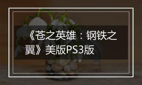 《苍之英雄：钢铁之翼》美版PS3版