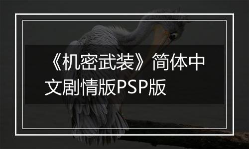 《机密武装》简体中文剧情版PSP版
