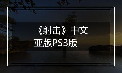 《射击》中文亚版PS3版