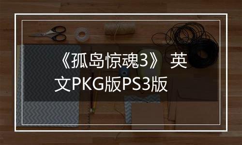 《孤岛惊魂3》 英文PKG版PS3版