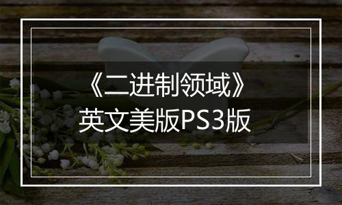 《二进制领域》 英文美版PS3版