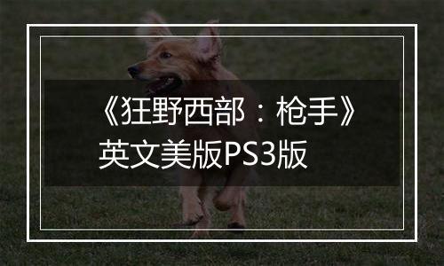 《狂野西部：枪手》 英文美版PS3版
