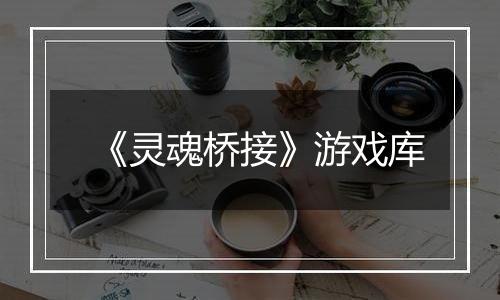 《灵魂桥接》游戏库