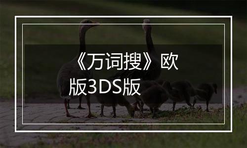 《万词搜》欧版3DS版
