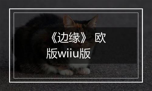《边缘》 欧版wiiu版