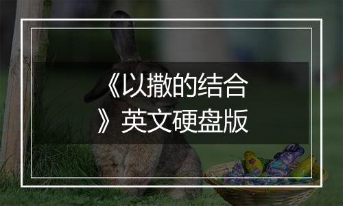 《以撒的结合》英文硬盘版