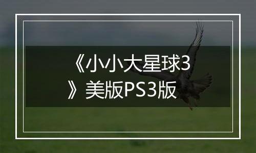 《小小大星球3》美版PS3版