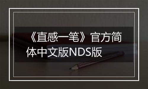 《直感一笔》官方简体中文版NDS版