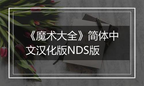 《魔术大全》简体中文汉化版NDS版