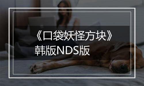 《口袋妖怪方块》 韩版NDS版