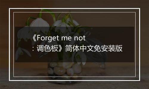 《Forget me not：调色板》简体中文免安装版