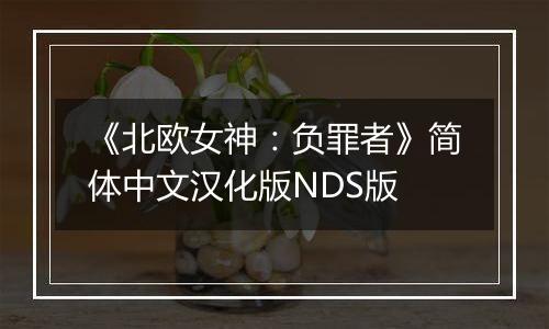 《北欧女神：负罪者》简体中文汉化版NDS版