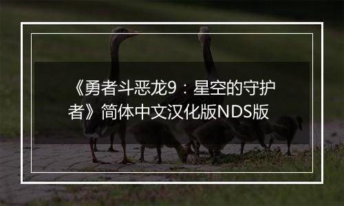 《勇者斗恶龙9：星空的守护者》简体中文汉化版NDS版