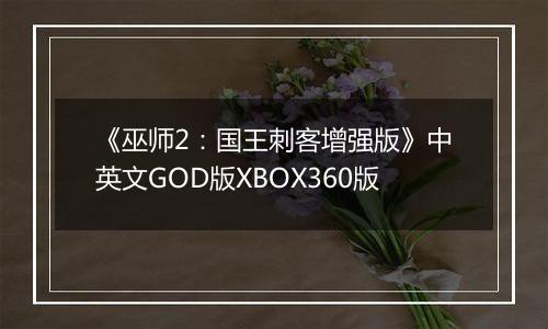 《巫师2：国王刺客增强版》中英文GOD版XBOX360版