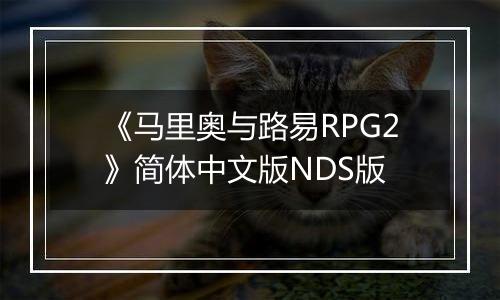 《马里奥与路易RPG2》简体中文版NDS版