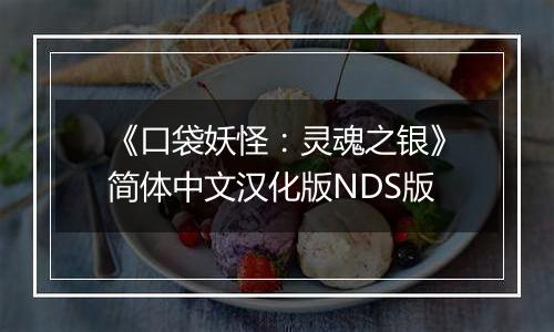 《口袋妖怪：灵魂之银》简体中文汉化版NDS版