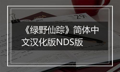 《绿野仙踪》简体中文汉化版NDS版