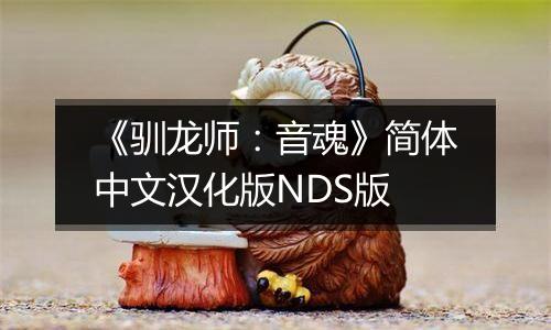 《驯龙师：音魂》简体中文汉化版NDS版