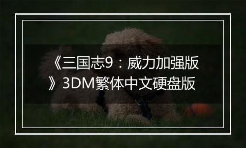 《三国志9：威力加强版》3DM繁体中文硬盘版
