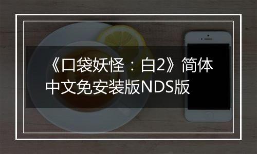 《口袋妖怪：白2》简体中文免安装版NDS版