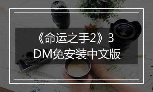 《命运之手2》3DM免安装中文版