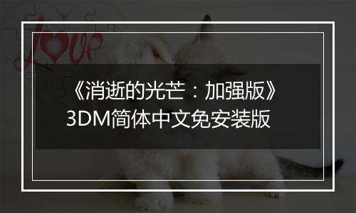 《消逝的光芒：加强版》 3DM简体中文免安装版