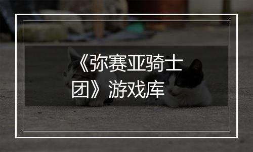 《弥赛亚骑士团》游戏库