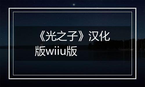 《光之子》汉化版wiiu版